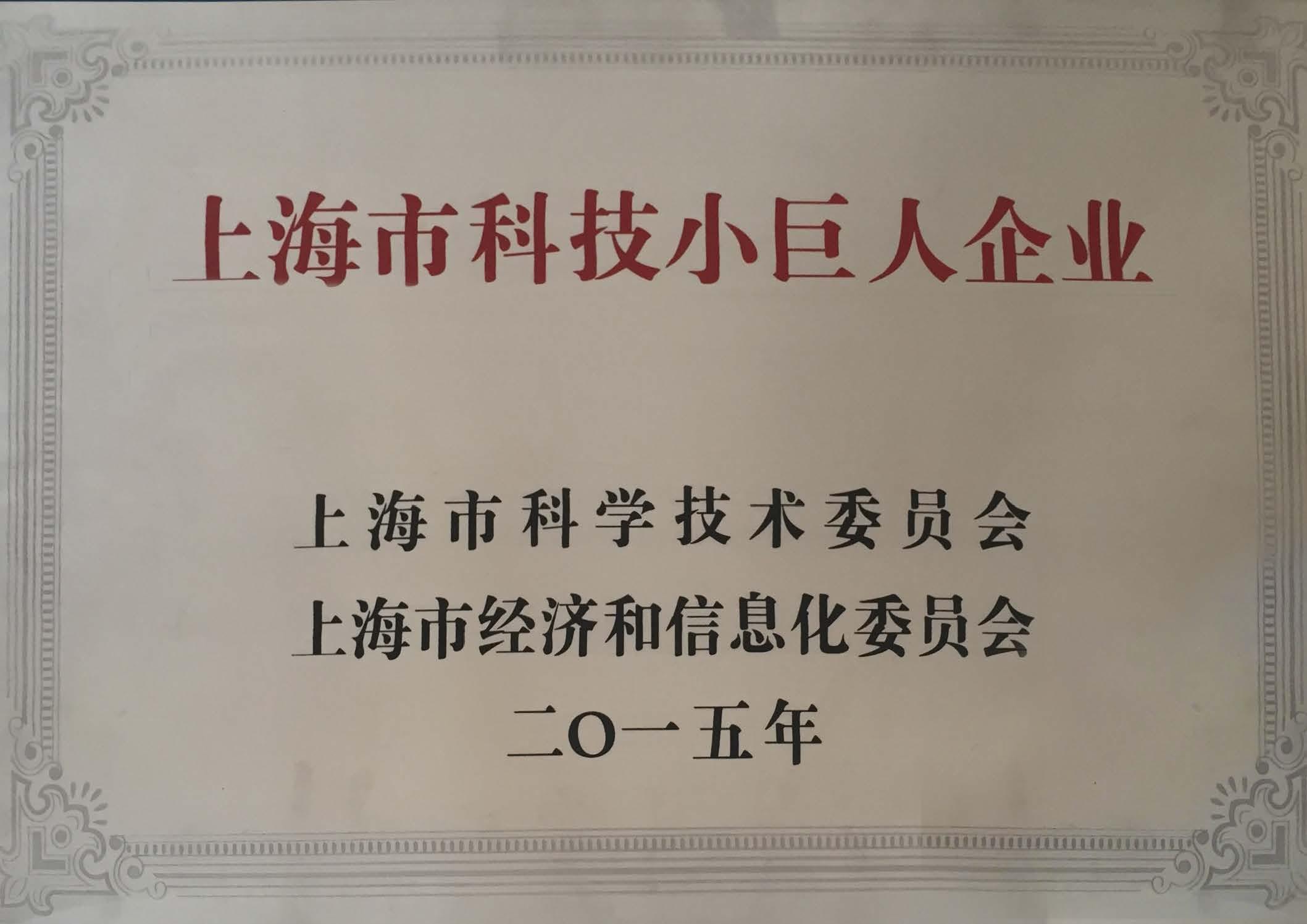 上海市科技小巨人企业